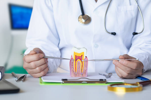 Best Emergency Care for Gum Disease in Claypool Hill, VA
